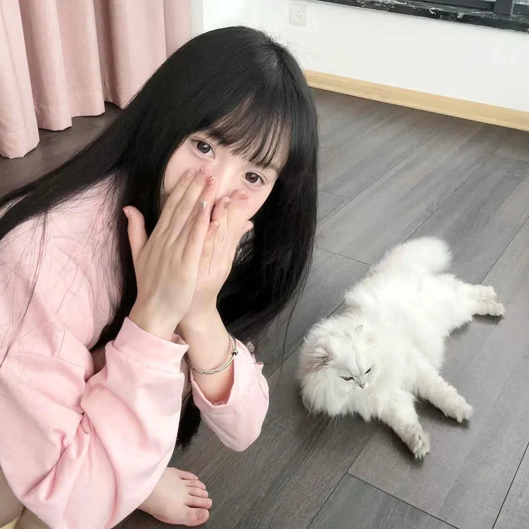 黑木