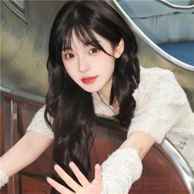 齐姆与友